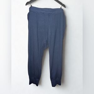 Torrid Navy Blue Jogger Sweatpants | Size 3 | Like New